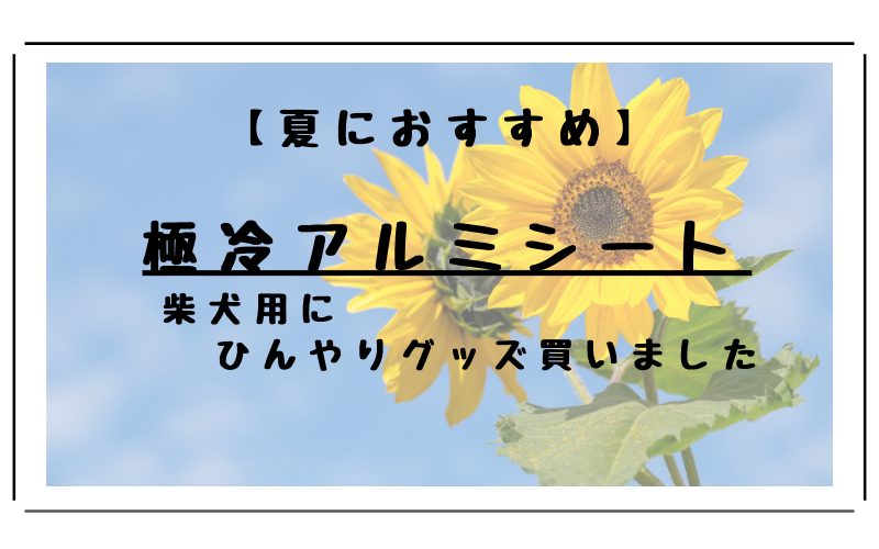 ペット用ひんやりグッズ