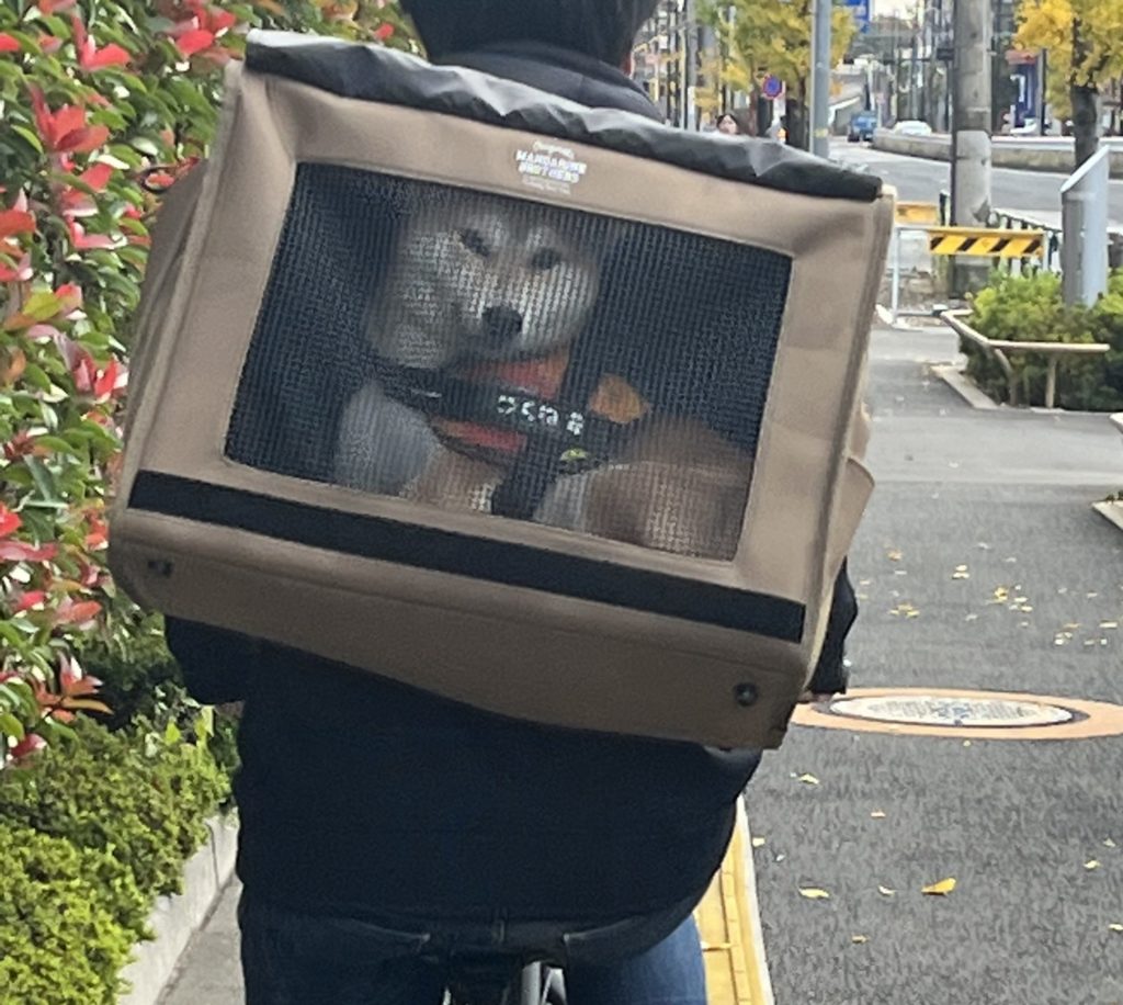 自転車でのキャリーリュック